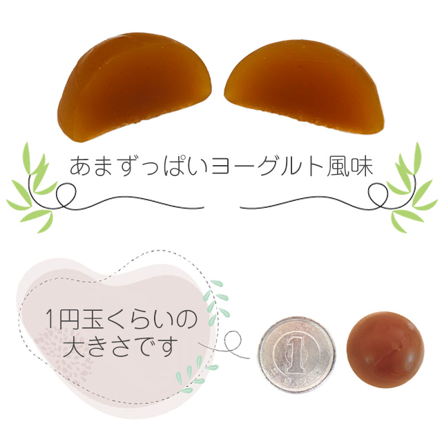 アルファベスト グミタイプ説明-1