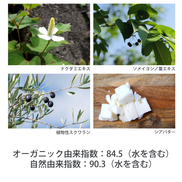 リンゴゲル説明-5